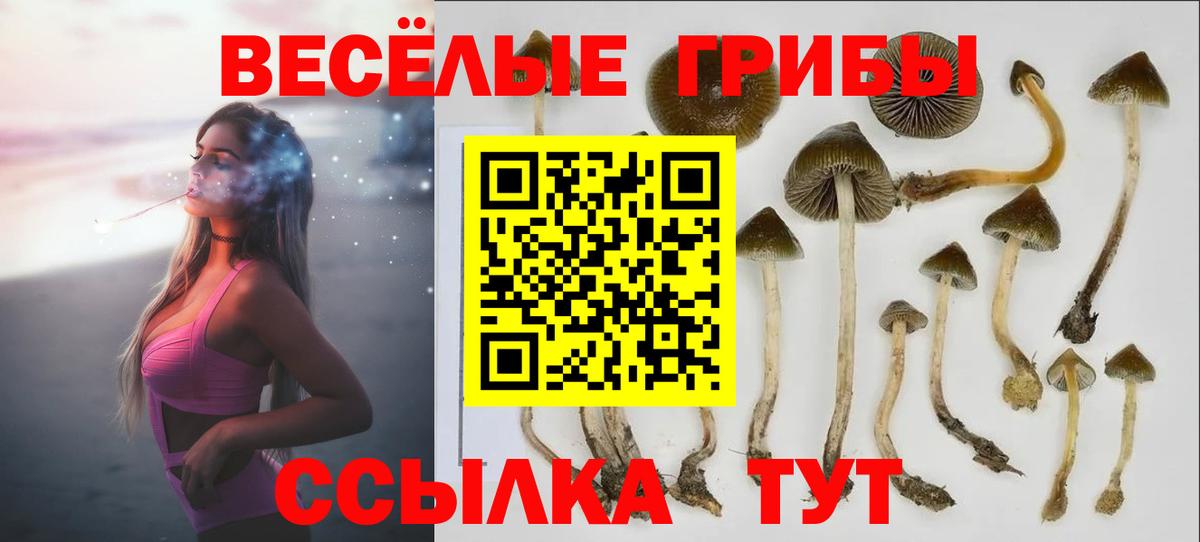 Героин  Марихуана  Красногорск  Вход с VPN  АМФЕТАМИН кристаллы  Меф   COCAIN  ГАШ  Alpha PVP СОЛЬ кристаллы  Где продают наркотики? 